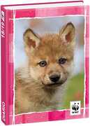 Cartoleria Diario WWF 2018-2019, 12 mesi. Lupo Panini
