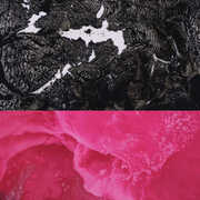 Vinile Breaking English Rafiq Bhatia