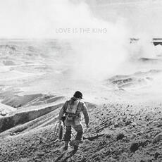 Vinile Love Is The King Jeff Tweedy