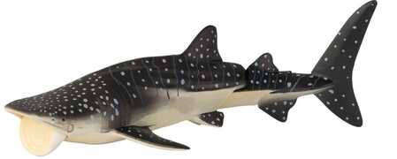 Giocattolo Squalo Balena Tomy Tomy