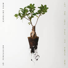CD Let the Soil Play Its Simple Part So Percussion Caroline Shaw