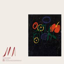 Vinile Ma Devendra Banhart