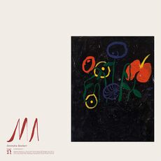 Vinile Ma Devendra Banhart