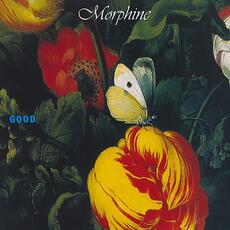 Vinile Good Morphine