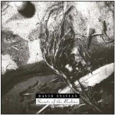 CD Secrets of the Beehive (Remastered) David Sylvian