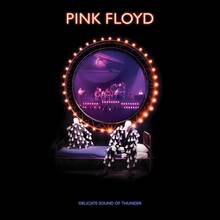 CD Delicate Sound of Thunder (Box Set Edition) Pink Floyd