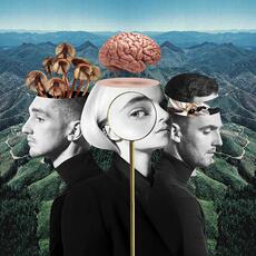 Vinile What Is Love? Clean Bandit