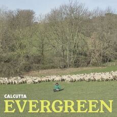 Vinile Evergreen Calcutta