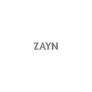 CD Icarus Falls Zayn