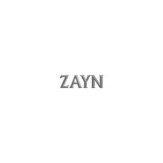 CD Icarus Falls Zayn