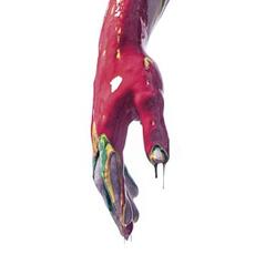 Vinile Raptus Nayt