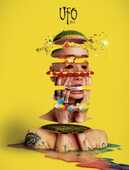 CD Ufo (Hardcoverbook Edition) Zoda