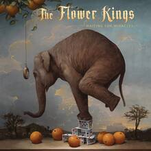 Vinile Waiting for Miracles Flower Kings