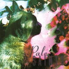 CD The Comforts of Madness (30th Anniversary Edition) Pale Saints