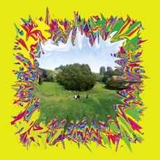 Vinile La terza estate dell'amore (Transparent Green Vinyl) Cosmo