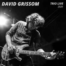CD Trio Live 2020 David Grissom