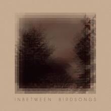 CD Inbetween Birdsongs Matthias Gusset