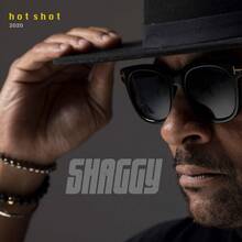 CD Hot Shot 2020 Shaggy