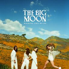 CD Walking Like We Do Big Moon