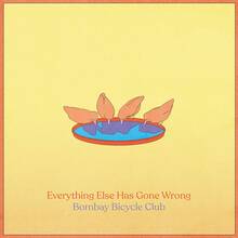 Vinile Everything Else Has Gone Wrong (Deluxe Edition) Bombay Bicycle Club