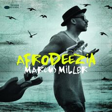 CD Afrodeezia Marcus Miller