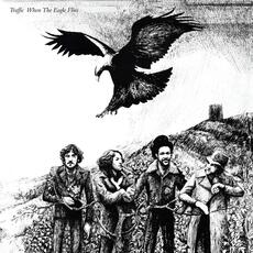 Vinile When the Eagle Flies Traffic