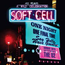 CD Say Hello, Wave Goodbye. Live at the O2 Arena Soft Cell