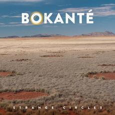 CD Strange Circles Bokanté