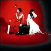 CD Elephant White Stripes