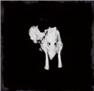 CD Kveikur Sigur Rós
