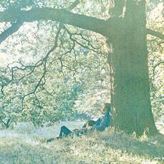 Vinile Plastic Ono Band Yoko Ono