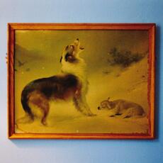 Vinile The Rescue (20th Anniversary Edition) Explosions in the Sky