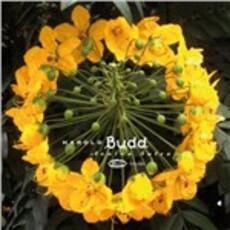 CD Avalon Sutra (Remastered Edition) Harold Budd