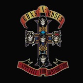 Copertina  Appetite for destruction [CD]