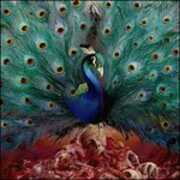 CD Sorceress Opeth