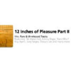 CD 12 Inches of Pleasure part II