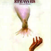 CD Hero and Heroine Strawbs