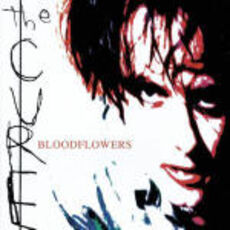 CD Bloodflowers Cure