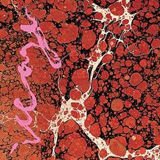 Vinile Beyondless Iceage