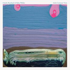CD Little Common Twist Ryley Walker Charles Rumback