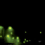 CD Mirages Tim Hecker