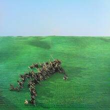 Vinile Bright Green Field Squid