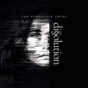 Vinile Dissolution Pineapple Thief