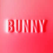 CD Bunny Matthew Dear