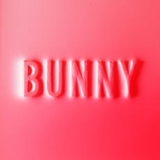 CD Bunny Matthew Dear