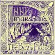 CD Inner Marshland Bevis Frond