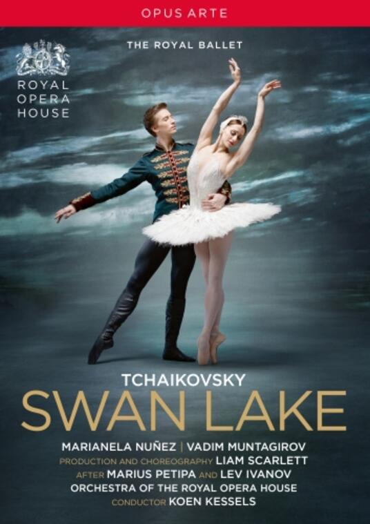 Il lago dei cigni (DVD) Pyotr Ilyich Tchaikovsky CD IBS Il lago dei cigni (DVD) Pyotr Ilyich Tchaikovsky CD IBS