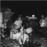 Vinile Live in San Francisco Fuzz