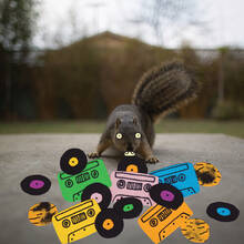 Vinile Squirrel Tape Instrumentals vol.1 Evidence