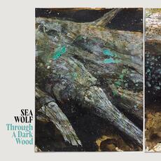 Vinile Through a Dark Wood Sea Wolf